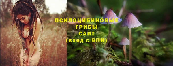 винт Богданович