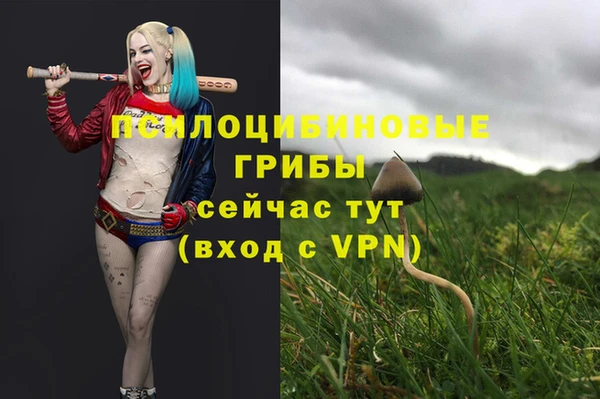 кокаин премиум Богородск